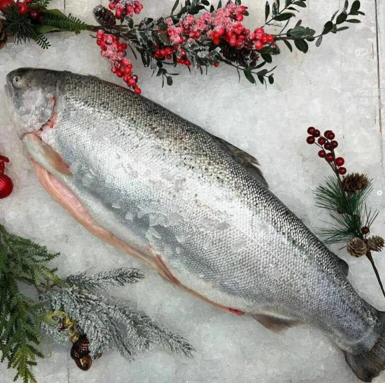 Фермерская форель